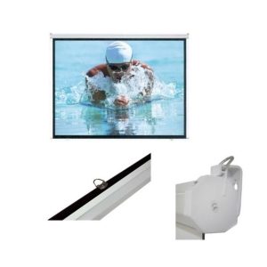 Platno za projektor Everest MPP-240 240*200 cm